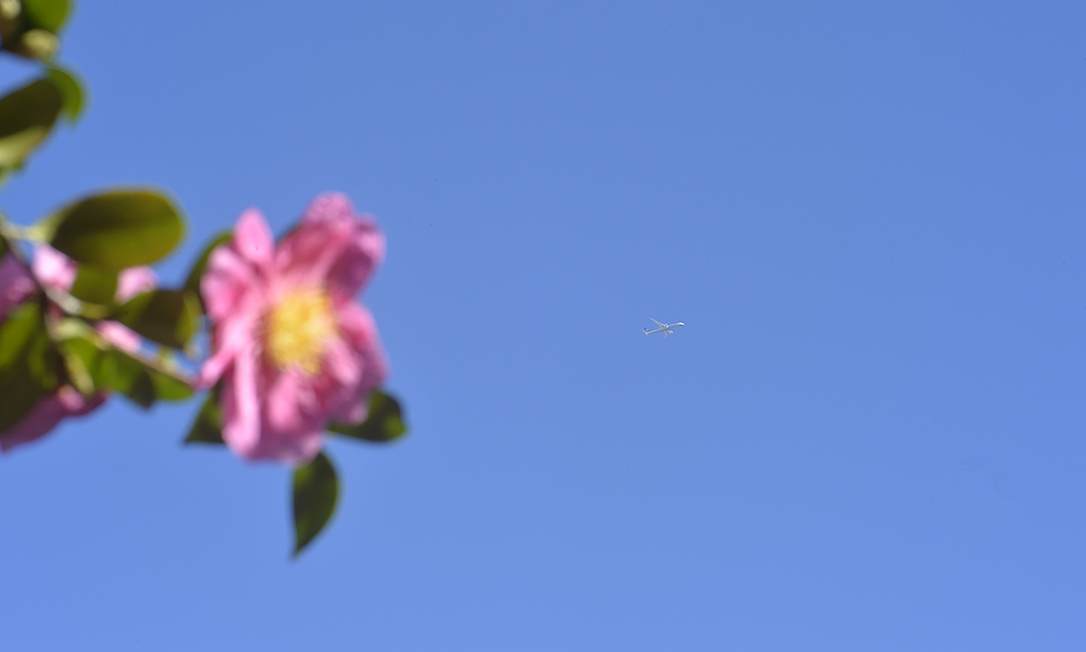 青空編集事務所のイメージ画像