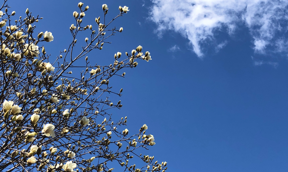 青空編集事務所のイメージ画像